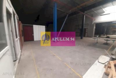 Spațiu industrial, de 4,850 mp, în 1 Decembrie - 19