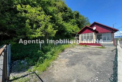 Spațiu comercial, de 100 mp, în Decebal - 6