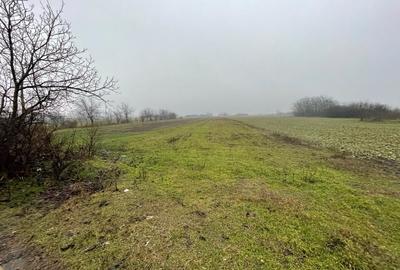 Spațiu comercial, în Sălciile - 3