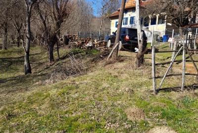 Teren de 3 mp, în Cetățeni - 1