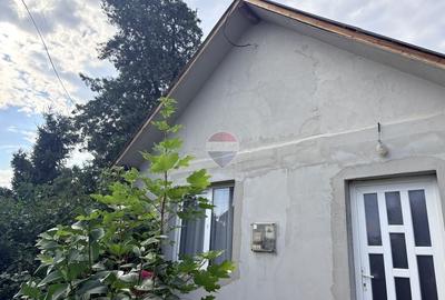 Casă individuală cu 2 camere cu Teren 484 Mp în Ciocănești