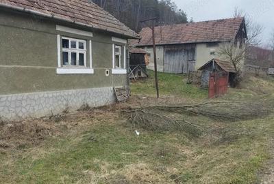 Casă cu 2 camere în Diviciorii Mari - 4