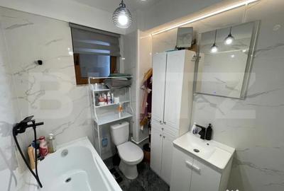 Apartament cu 2 camere, mobilat în Cornitoiu - 10