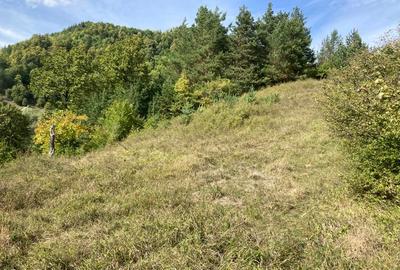Teren de 4420 mp, în Vinețisu - 6