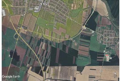 Teren de 50000 mp, în Sânnicolau Mic - 2