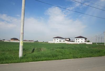 Teren Construcții intravilan de 447 mp, în Domnești - 15