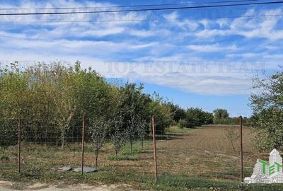 Teren stradal si intravilan 2431mp, P+1E+Pod,Magurele, Ilfov Teren stradal si intravilan 2431mp, P+1E+Pod,Magurele, Ilfov - 3