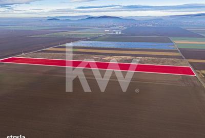 Teren de 16000 mp, în Hărmanului