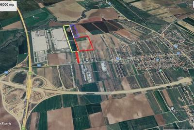 Teren Construcții intravilan de 98709 mp, în Bâcu
