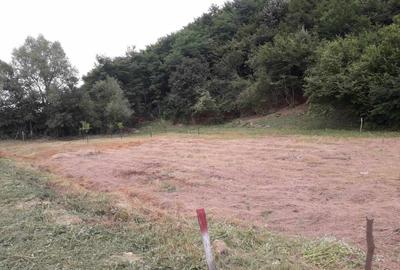 Spațiu comercial, în Uileacu Șimleului - 2