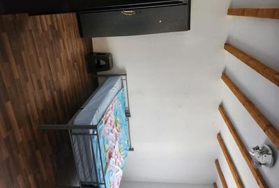 Casă cu 1 camere cu Teren 150 Mp în Piața Veche - 5