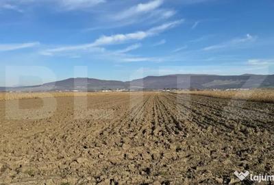Teren de 5300 mp, în Arcalia - 1