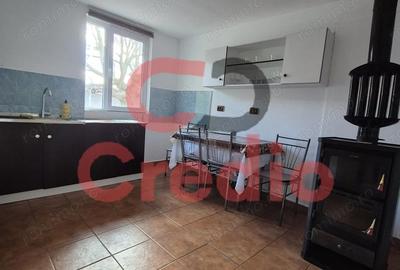 Casă cu 2 camere cu Teren 1200 Mp în Peciu Nou - 14