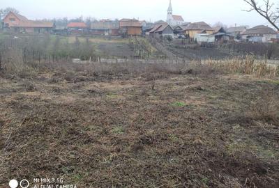 Casă cu 4 camere în Tritenii de Sus - 5