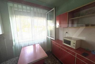 Apartament cu 2 camere semidecomandat, mobilat în Botizului - 4
