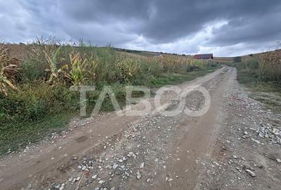 Teren de vanzare intravilan Sura Mare Sibiu 400 mp zona deos - 3