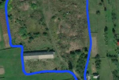 Teren de 28000 mp, în Tulgheș - 4