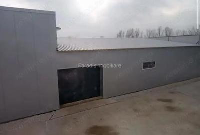 Spațiu comercial, de 1,000 mp, în Bolintin-Vale - 7