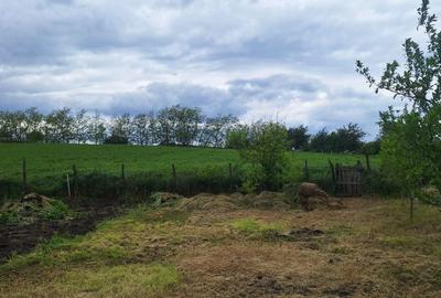 Casă cu 3 camere în Central - 3