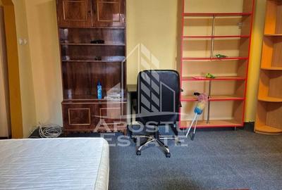 Apartament cu 2 camere semidecomandat, mobilat în Șagului - 3