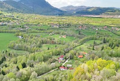 Teren intravilan Bran- Predelut - 34