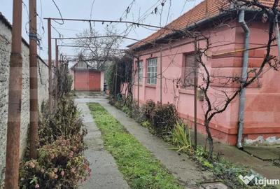 Casă cu 1 camere cu Teren 1306 Mp în Careiului - 12