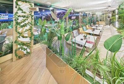 Boulevard Caffe Di David-preluare afacere functionala - Bd Gh.Sincai - 15
