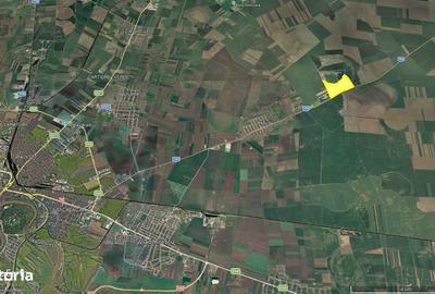 Spațiu comercial, în Horia - 1