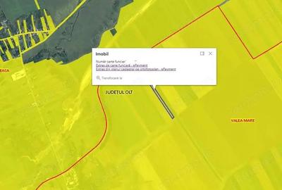 Teren extravilan 12500 mp, Valea Mare, Olt - 3