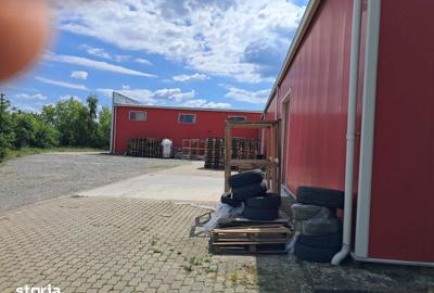 Spațiu comercial, de 1,731 mp, în Aradul Nou - 10