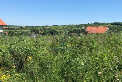 Teren Construcții intravilan de 1200 mp, în Dealuri Oradea - 3