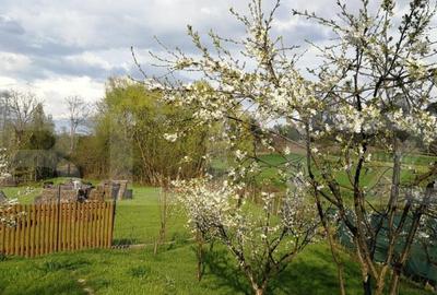 Casă cu 4 camere cu Teren 3753 Mp în Debarcader - 9