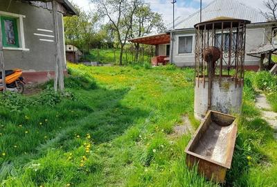 Casă cu Teren 3096 Mp în Boianu Mare - 4
