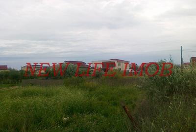 Mamaia sat , teren intravilan - 3