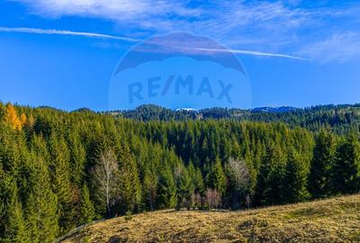 COMISION 0% Teren 13,800mp Fundatica / Intravilan - 12