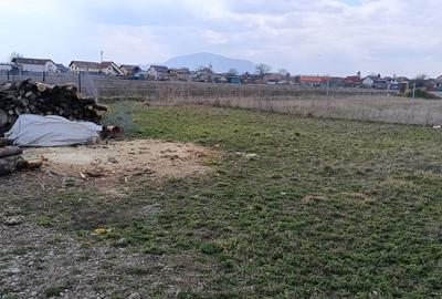 Spațiu comercial, în Hălchiu - 2