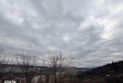 Spațiu comercial, în Grigorescu