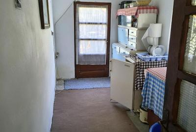 Casă cu 3 camere cu Teren 1400 Mp în Nicolae Bălcescu