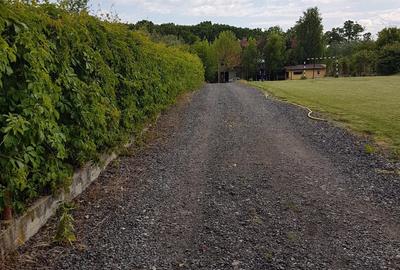 Teren intravilan 2.100 mp acces lac și utilități, Siliștea Snagovului - 5