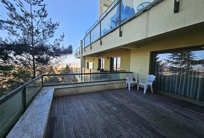 Apartament cu 2 camere decomandat, mobilat în Drumul Poienii - 3