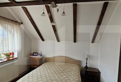 Casa deosebita, 128 mp, 569 mp teren, in Santionlunca - 28