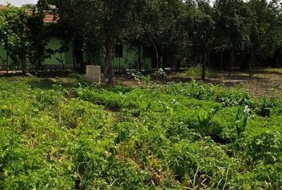 Casă individuală cu 4 camere cu Teren 1511 Mp în Adâncata - 14