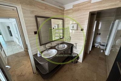 Spațiu comercial, de 233 mp, în Brazda lui Novac - 13