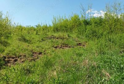 Teren de 2641 mp, în Viforâta - 2