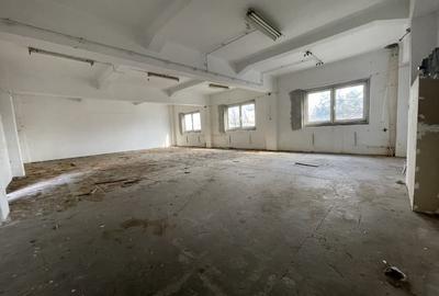 Spațiu industrial, de 1,200 mp, în Buziașului - 6