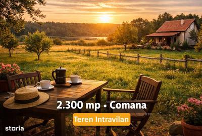 Spațiu comercial, în Comana - 6