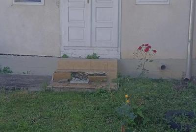 Casă cu 4 camere cu Teren 4000 Mp în Central - 1