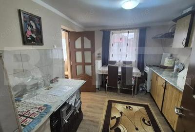 Casa cu 2 camere, 65 mp, teren 2910 mp, in Viile Satu Mare - 12