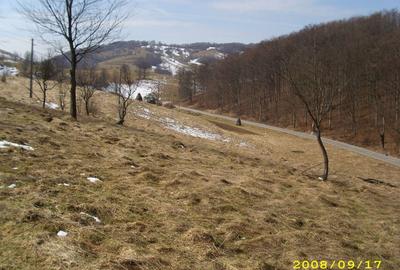 Teren intravilan Rosia, 12 000 mp, cu proiect aprobat. Comision 0. - 12