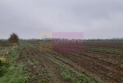 Teren Investiție aproape de București - 9